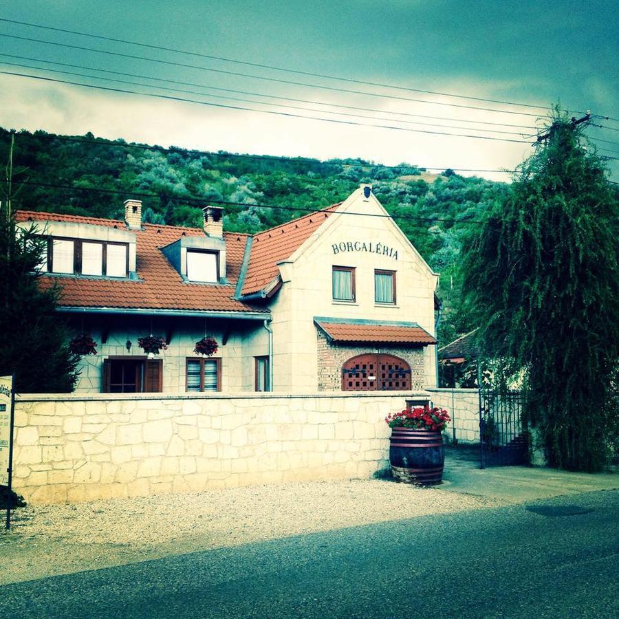 Borgaleria Otel Tokaj Dış mekan fotoğraf