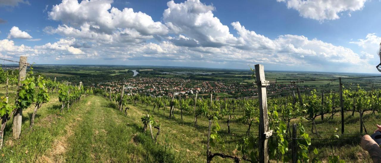 Borgaleria Otel Tokaj Dış mekan fotoğraf